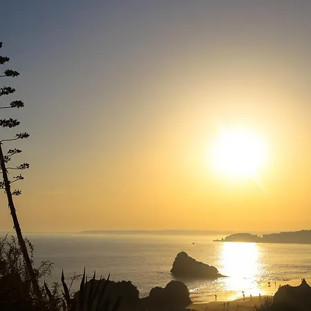 Апартаменты Old Town Портиман